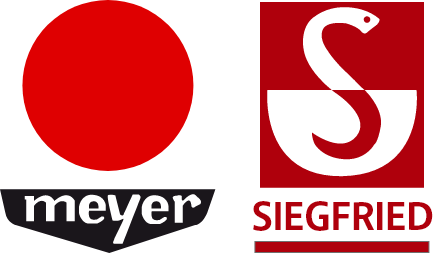 Logo-Meyer-Oficial